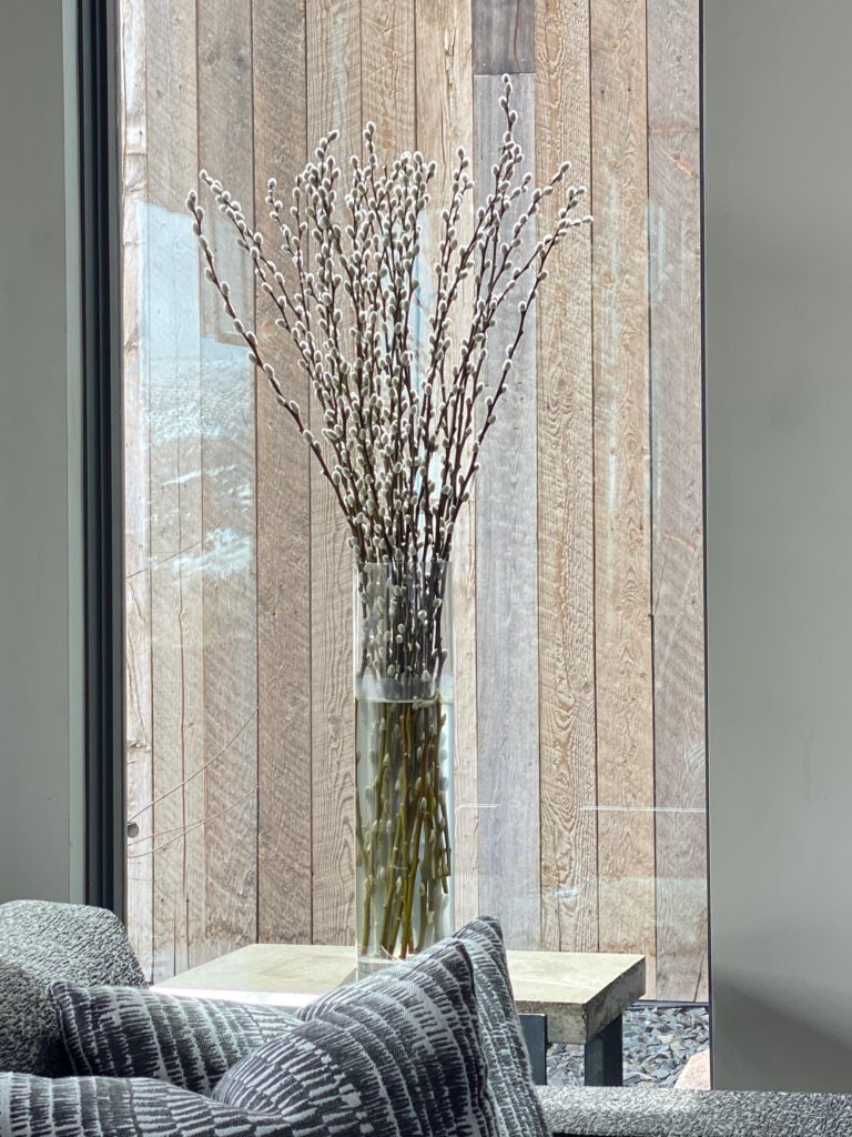 Decorative Willows in a Glass Vase